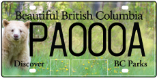 BC-parks-licence-plate-kermode-bear.png