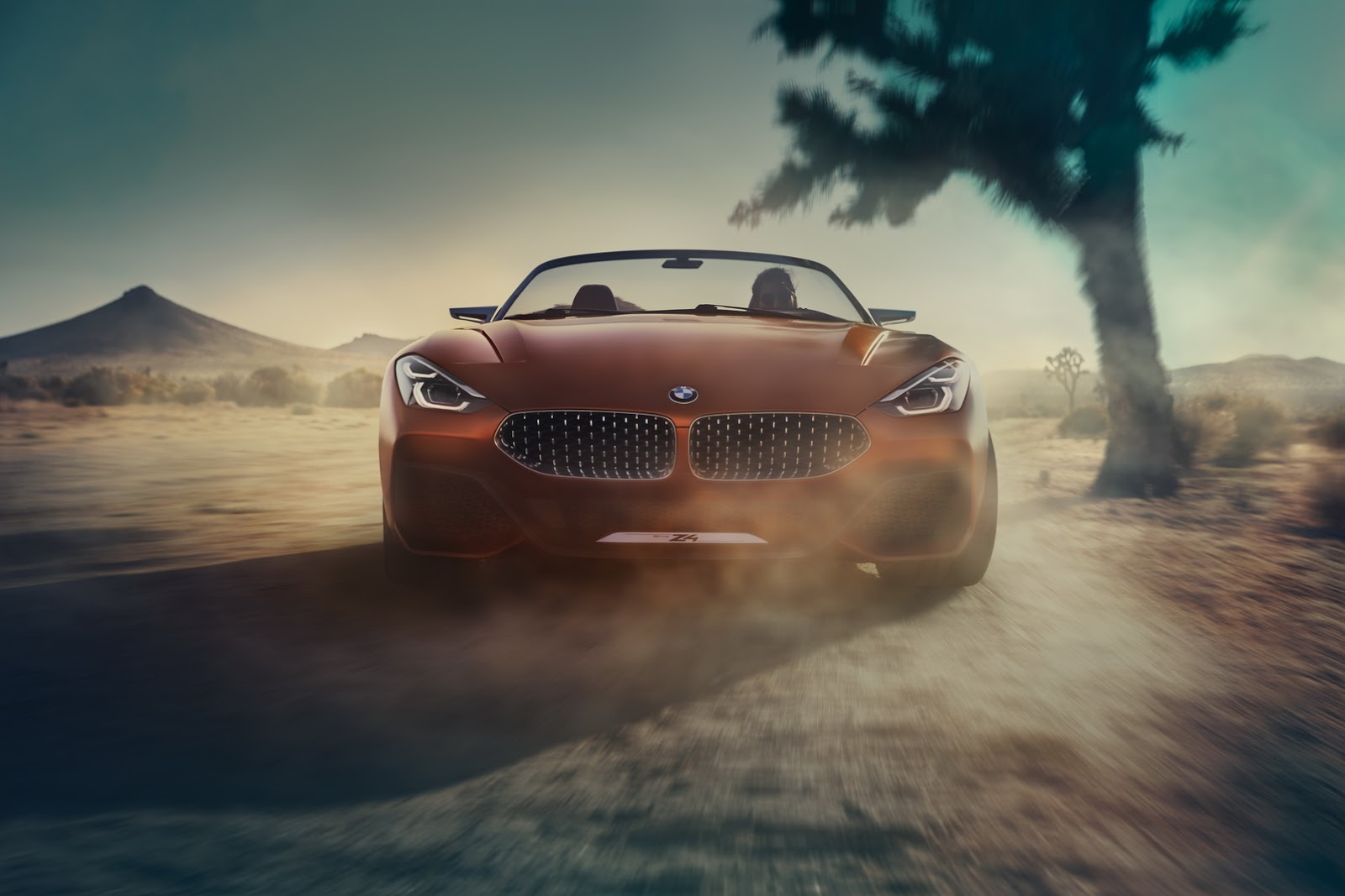 bmw-z4-concept-unveiled-officially-12.jpg