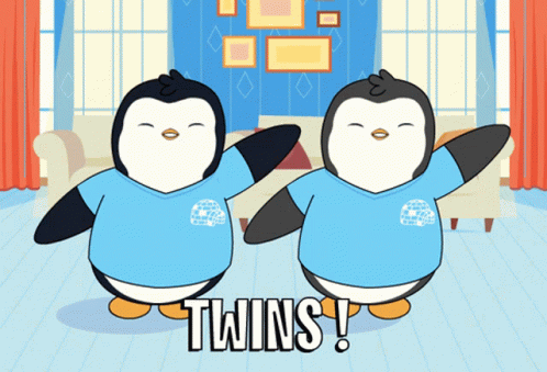 penguin-twins.gif